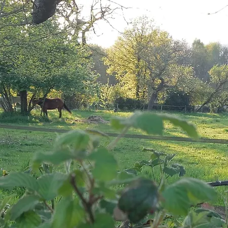 La 24h Roulotte Lyxtält Parigné-lʼÉvêque
