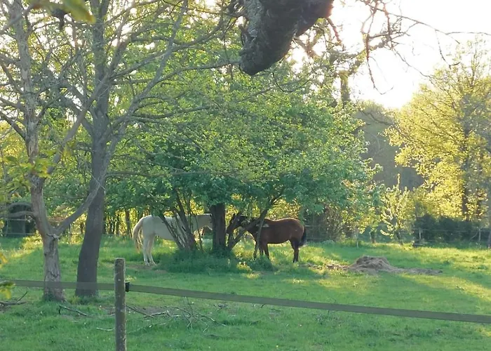 La 24h Roulotte Luxuszelt