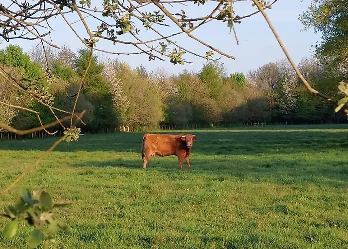 La 24h Roulotte Luxuszelt Parigné-lʼÉvêque