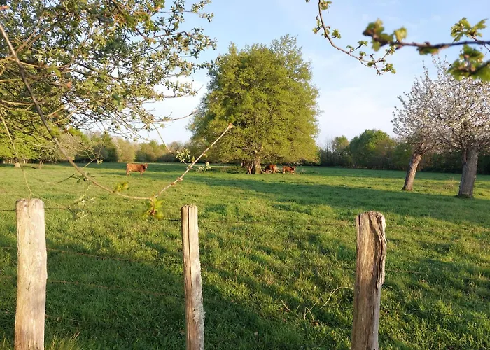 Luxuszelt La 24h Roulotte